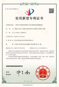 一種用于生物質爐排鍋爐-SNCR-脫硝的噴氨格柵裝置